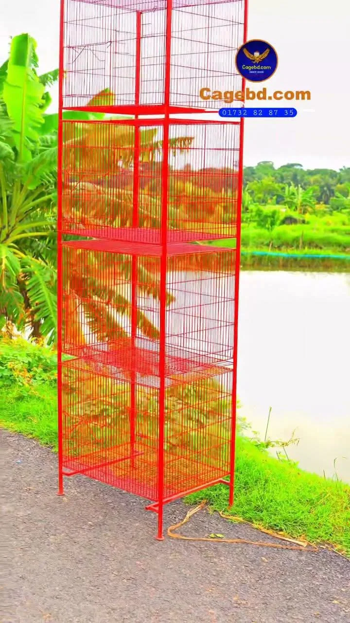 ২৪-১৮-১৮ পাখির খাঁচা। (কালার ছাড়া)