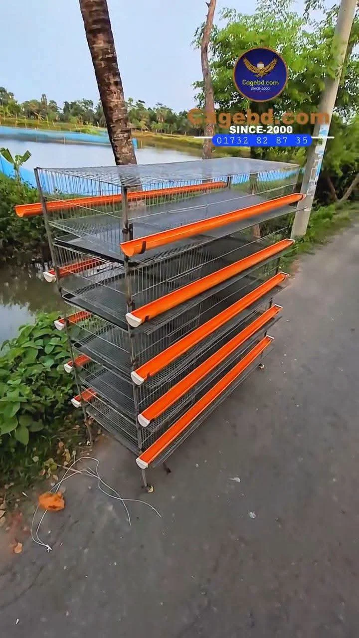 ৫০০ কোয়েল পাখির খাঁচা। (কালার ছাড়া)